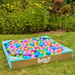 Bluey Wooden Sandpit with Cover