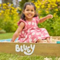 Bluey Wooden Sandpit with Cover